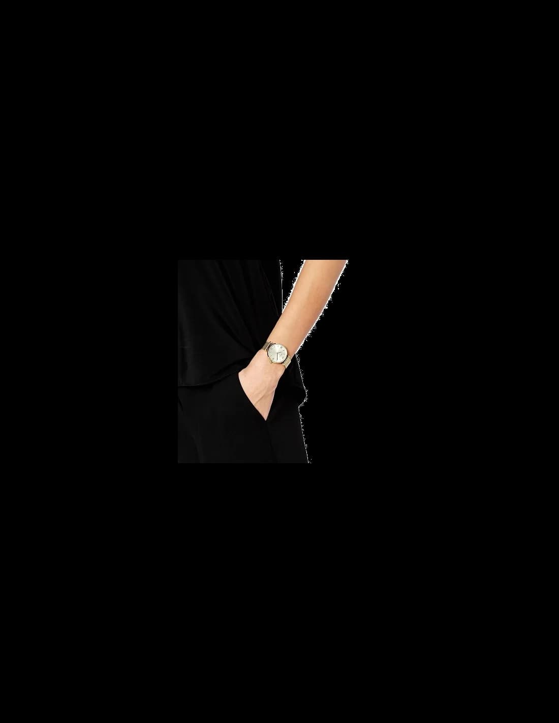 Montre Emporio Armani AR1957 Maille Milanaise Dorée vue 5