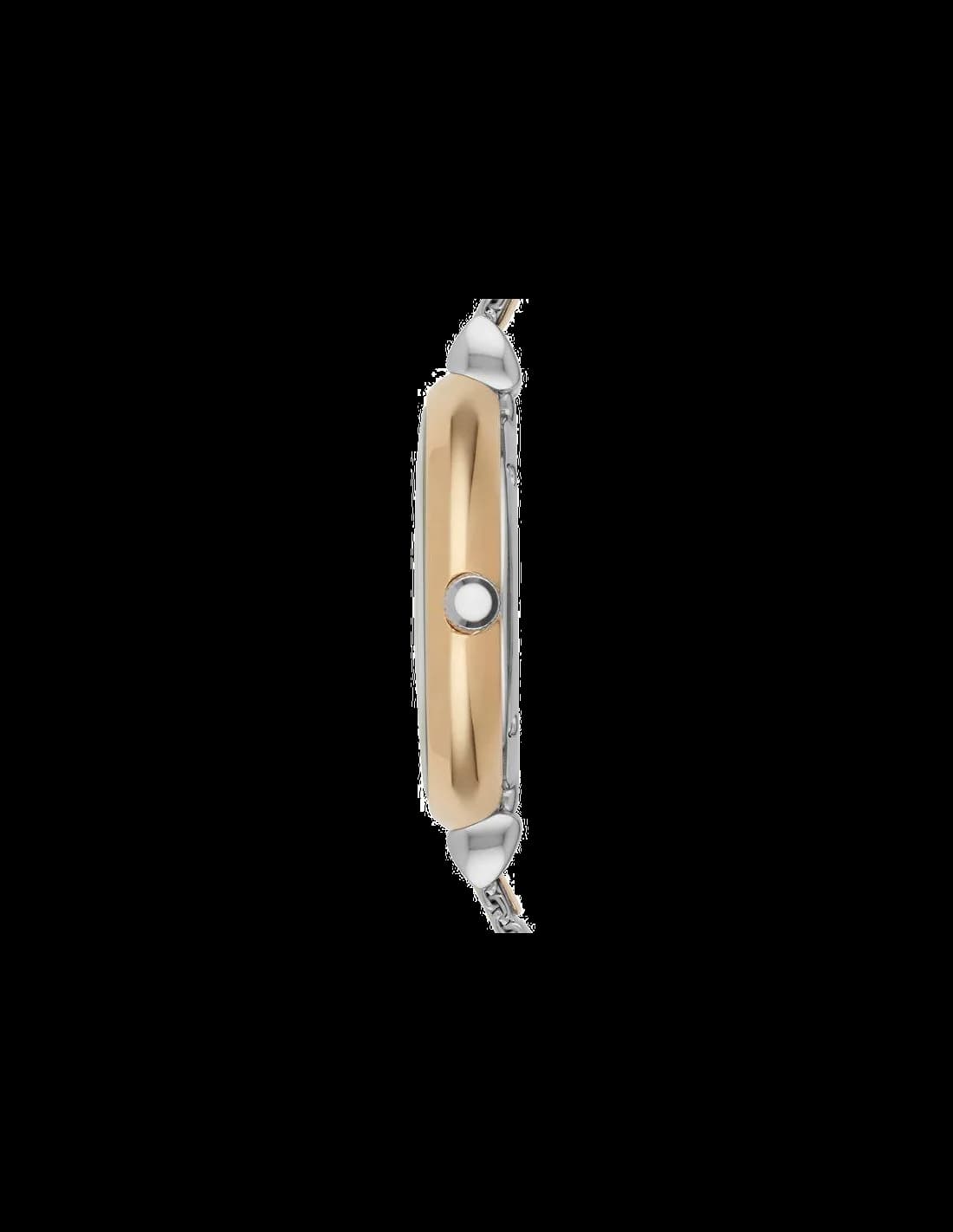 Montre Femme Emporio Armani AR2068 Argentée vue 2