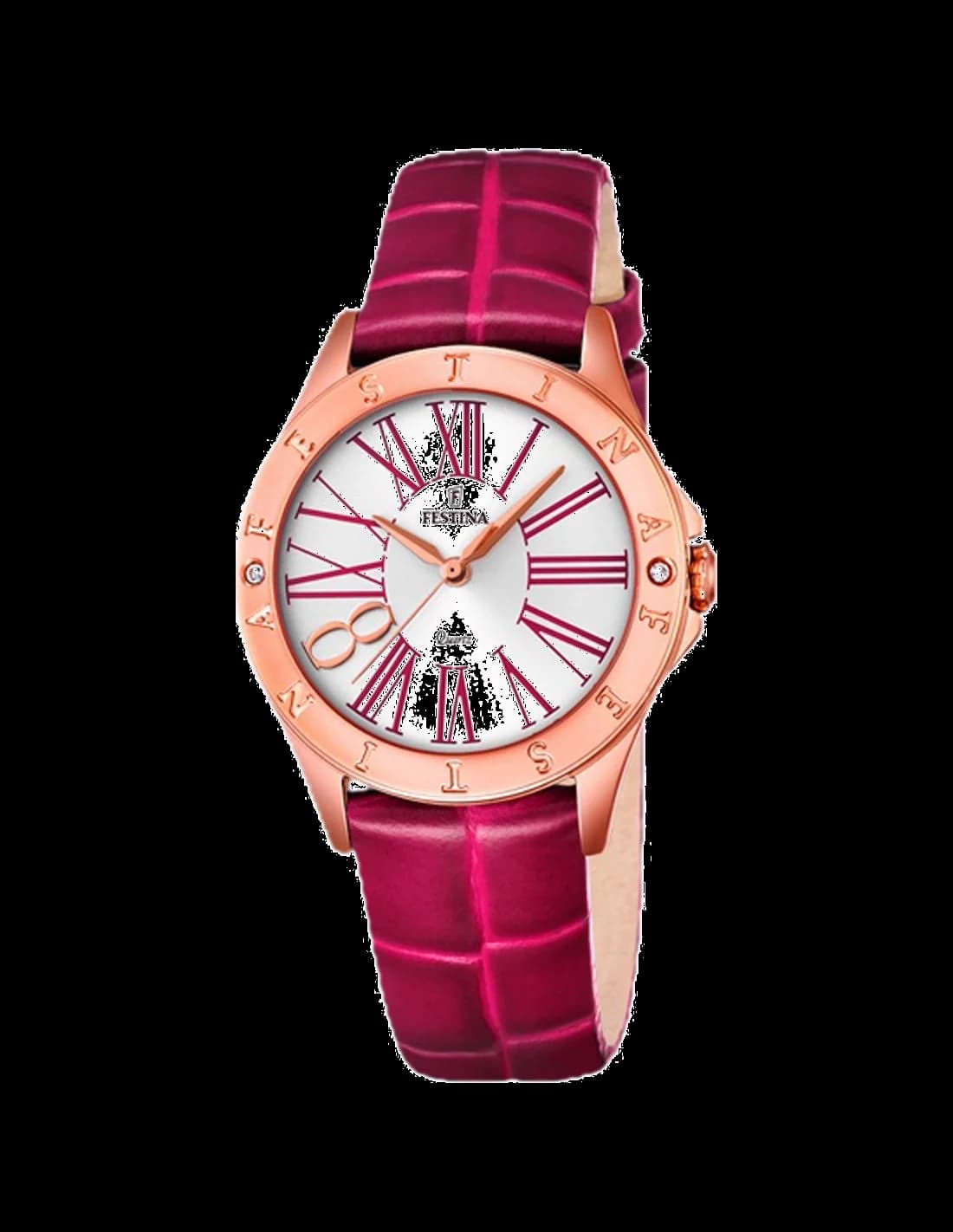 Montre Femme Festina F16930/2 Rose en Acier