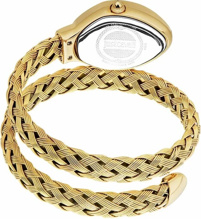 Montre Just Cavalli JC1L264M0025 en Acier Doré avec Cadran Argenté vue 2