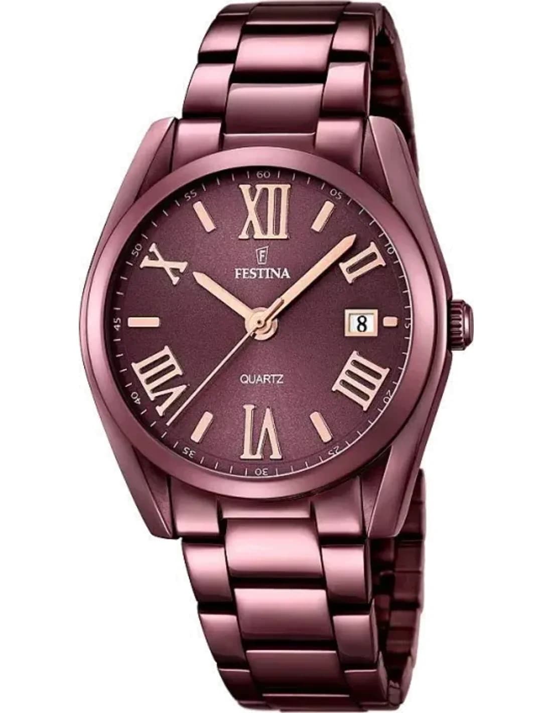 Montre Femme Festina F16865/1 Marron en Acier