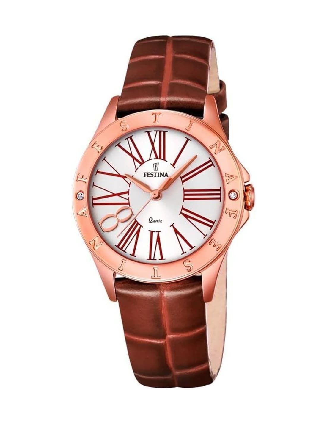 Montre Femme Festina F16930/3 Marron en Acier