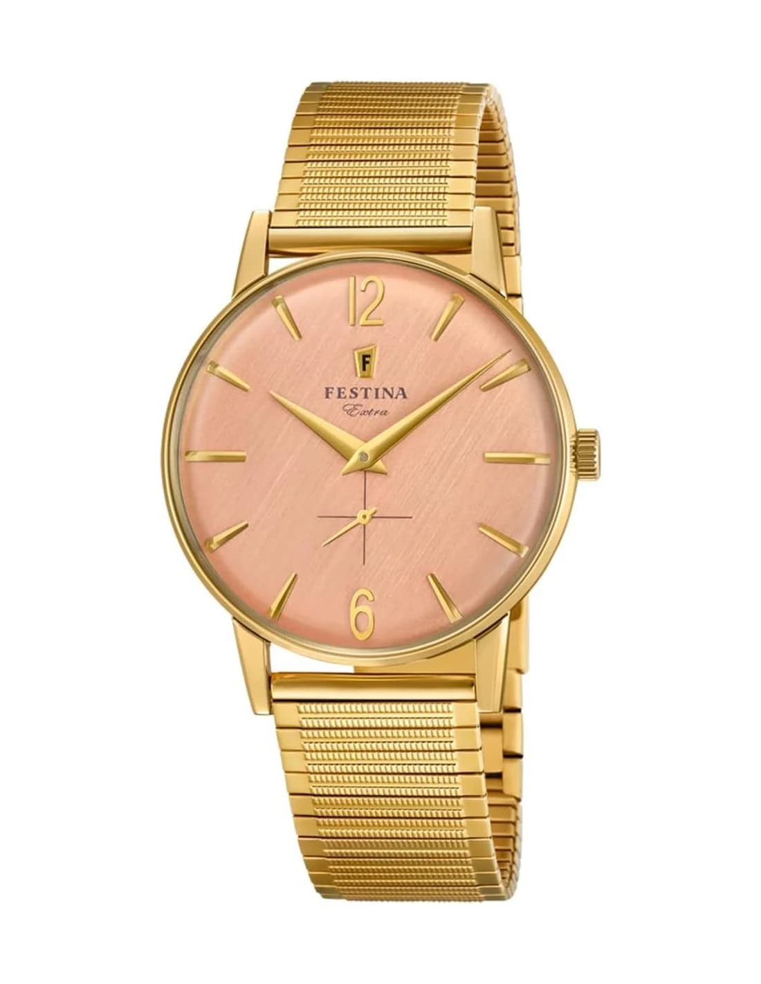 Festina F20251/3 Extra Gold-Plated Stainless Steel Case and Strap Watch