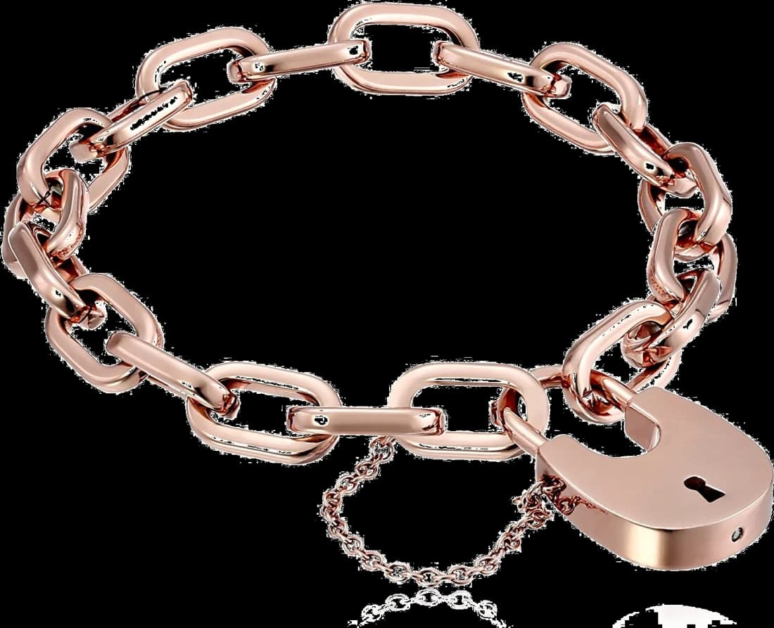 Bracelet Michael Kors MKJ4629791 breloque cadenas