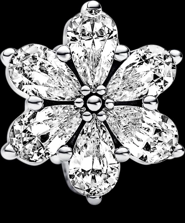 Charm Pandora Herbier Scintillant Timeless 792623C01 argent 925/1000