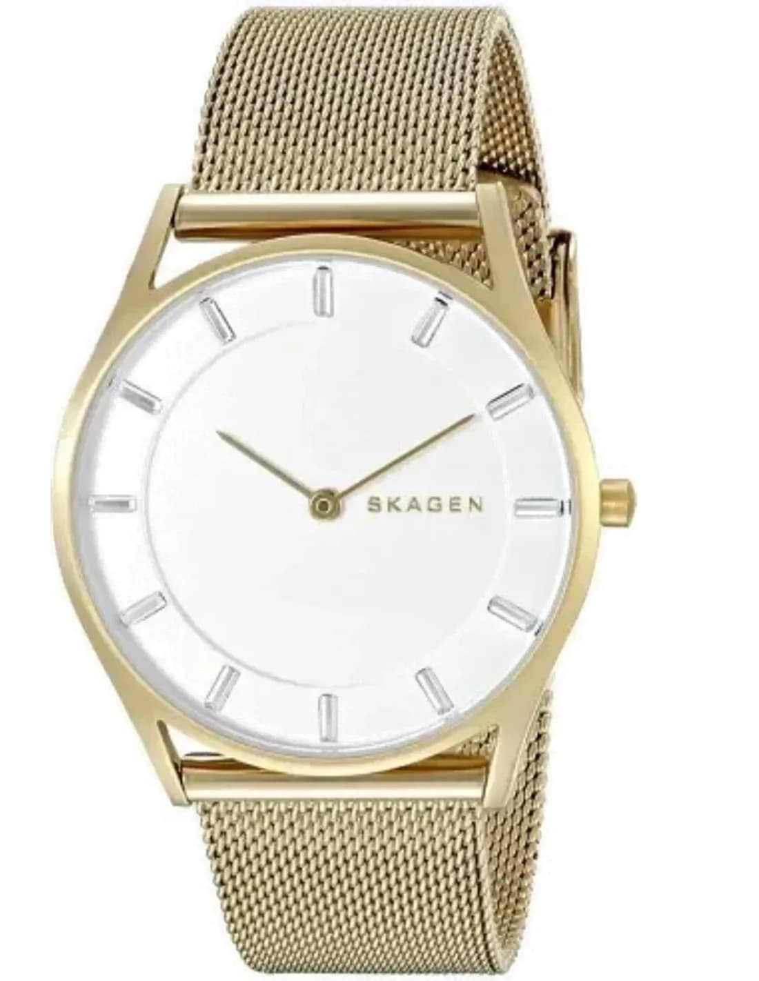 Montre Femme Skagen SKW2377 Bracelet en Maille Milanaise Grise
