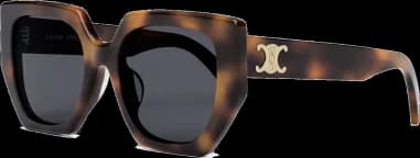 Celine Triomphe CL40239F acetate sunglasses