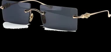 Lunettes de soleil Chrome Hearts HEIIZ BEIIZ cerclés forme rectangulaire
