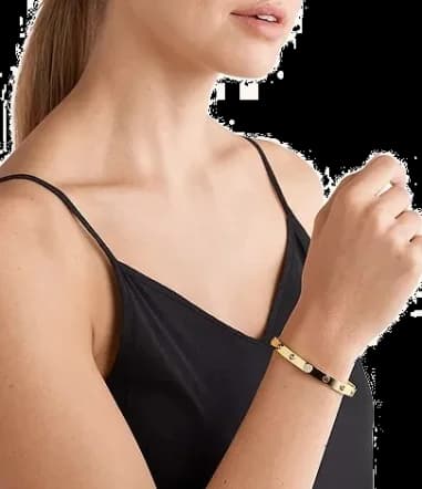 Michael Kors Premium Women's Bracelet in Gold-Plated Silver with Crystals vue 3